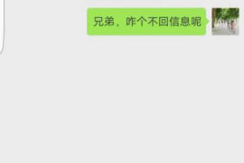 微山为什么选择专业追讨公司来处理您的债务纠纷？